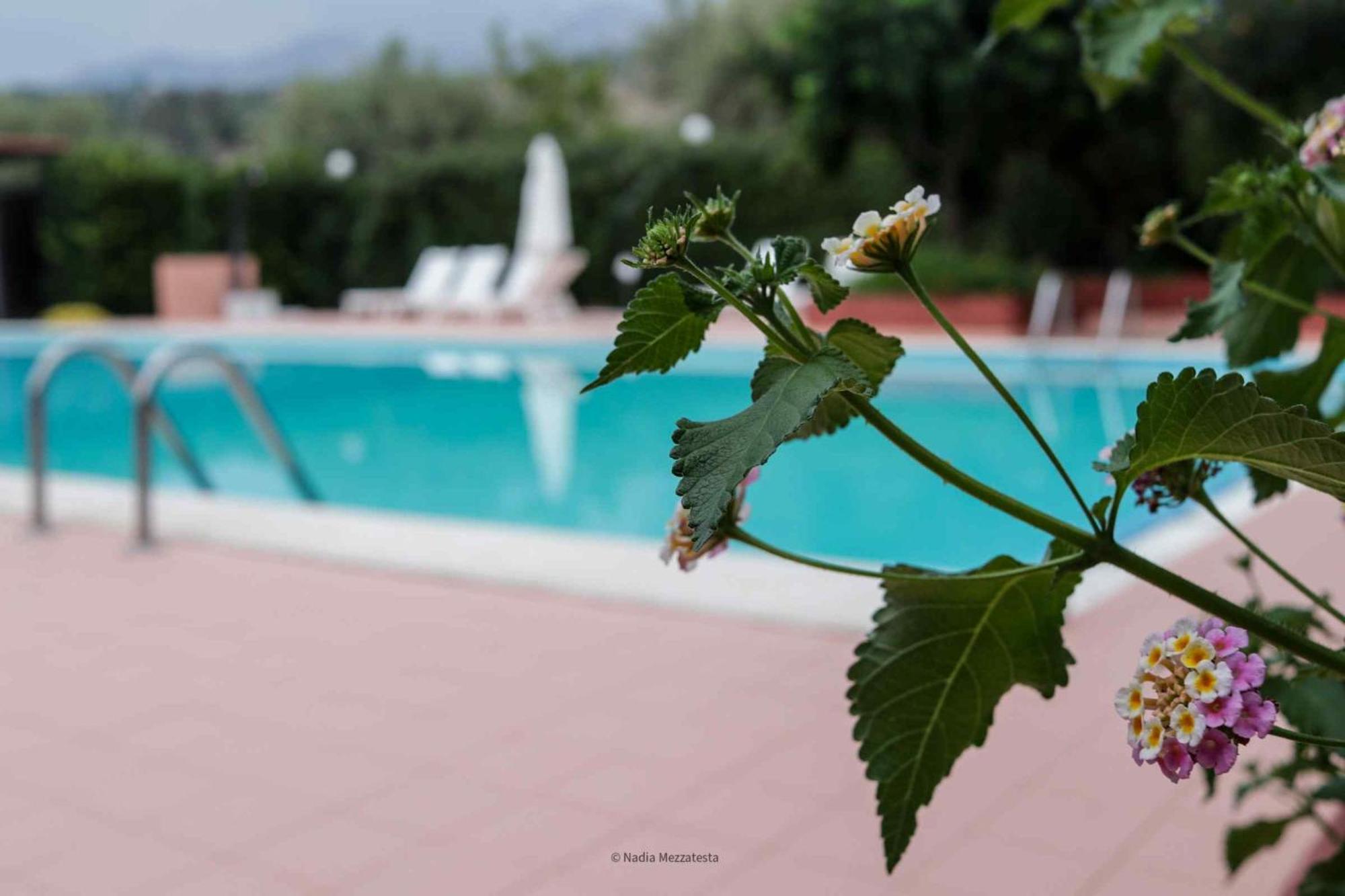 Il Casale Il Sole E La Margherita Campofelice Di Roccella Luaran gambar