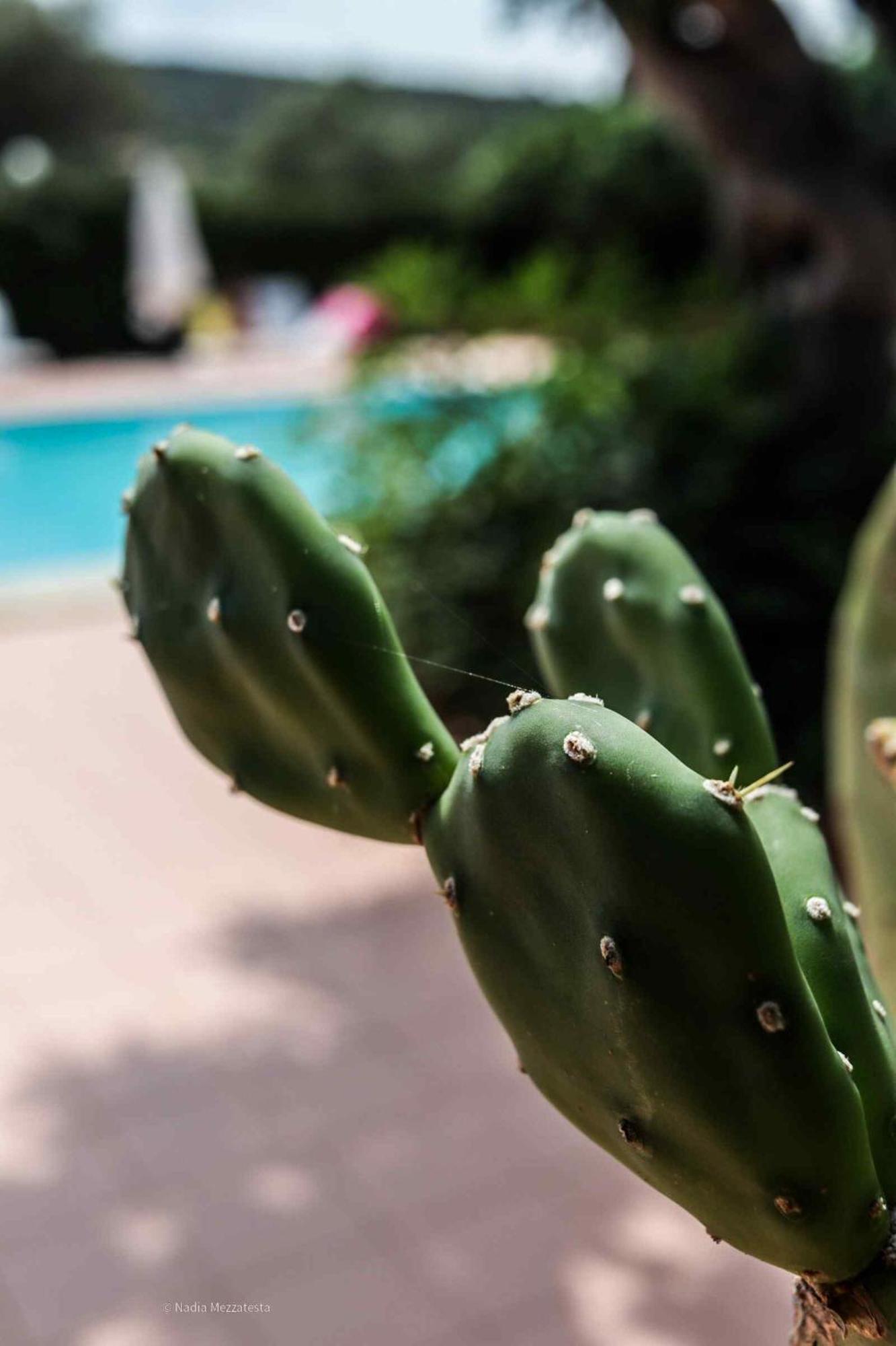 Il Casale Il Sole E La Margherita Campofelice Di Roccella Luaran gambar
