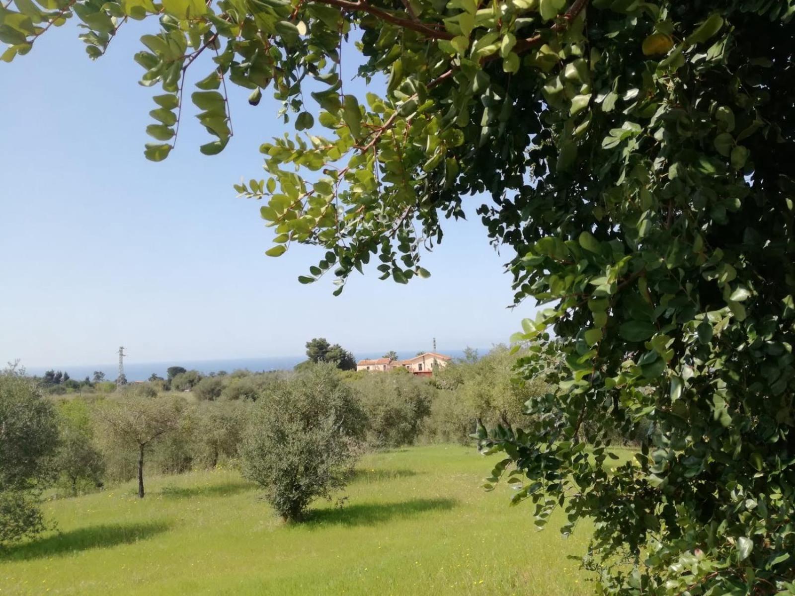 Il Casale Il Sole E La Margherita Campofelice Di Roccella Luaran gambar